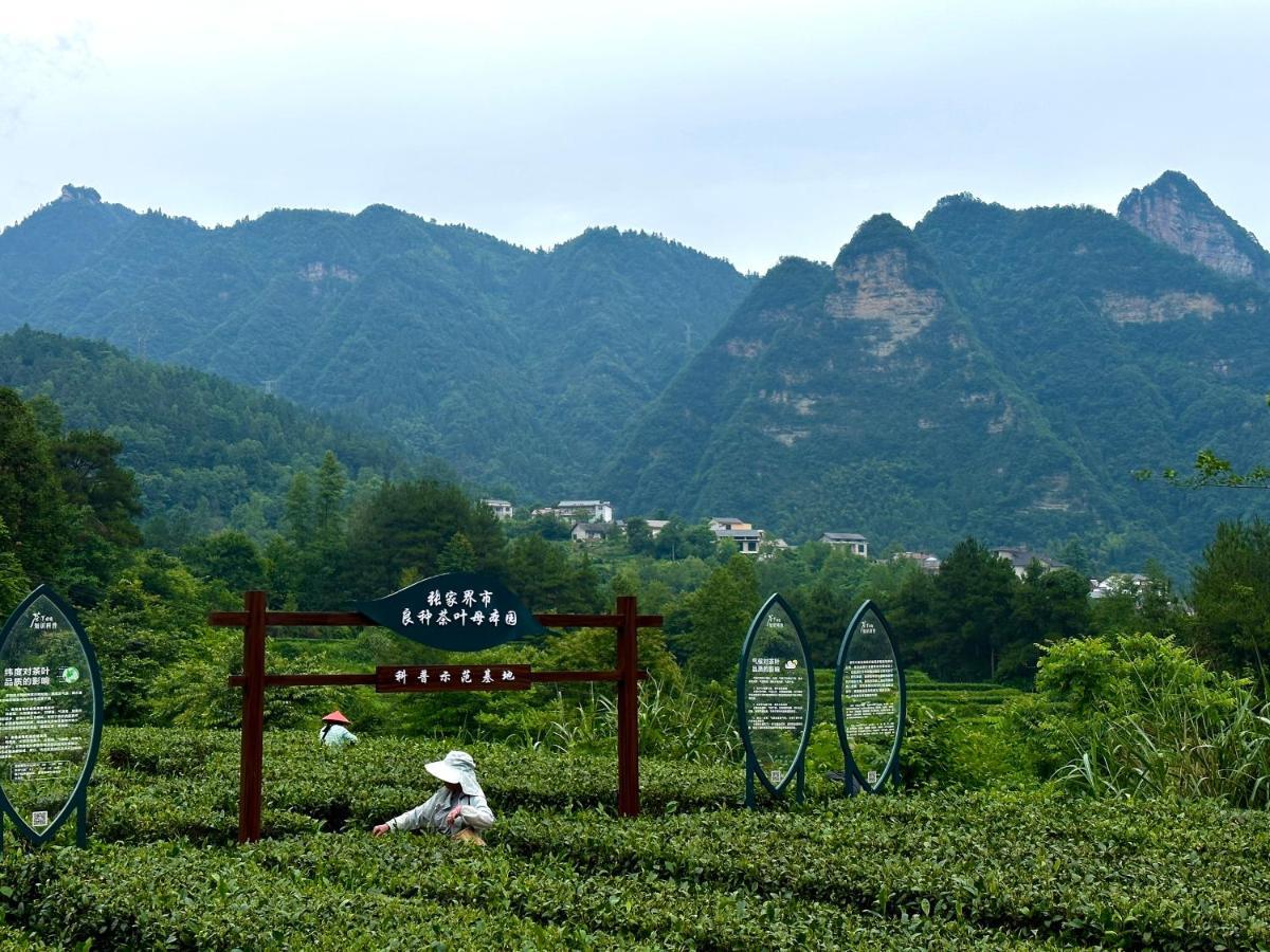 Zhangjiajie National Park Nvue Resorts Екстер'єр фото